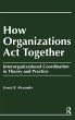 How Organizations Act Together - Bild 1