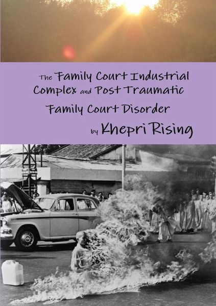 The Family Court Industrial Complex and Post Traumatic Family Court Disorder The Family Court Industrial Complex and Post Traumatic Family Court Disorder