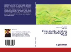 Development of Database on Codon Preference of Wheat