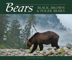 Bears: Black, Brown & Polar Bears - Tekiela, Stan