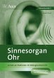 Sinnesorgan Ohr - Bild 1