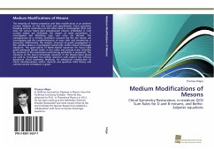 Medium Modifications of Mesons - Hilger, Thomas