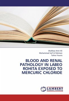 BLOOD AND RENAL PATHOLOGY IN LABEO ROHITA EXPOSED TO MERCURIC CHLORIDE