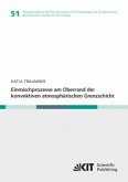 Einmischprozesse am Oberrand der konvektiven atmosphärischen Grenzschicht