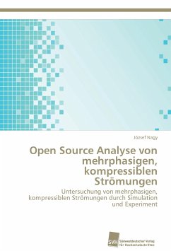 Open Source Analyse von mehrphasigen, kompressiblen Strömungen - Nagy, József