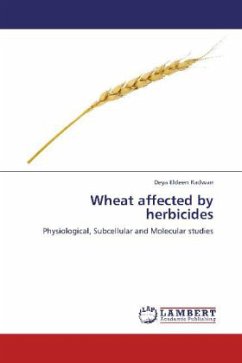 Wheat affected by herbicides