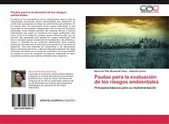 Pautas para la evaluación de los riesgos ambientales - Muschietti Piana, Maria del Pilar;Civeira, Gabriela