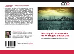 Pautas para la evaluación de los riesgos ambientales