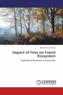 Impact of Fires on Forest Ecosystem