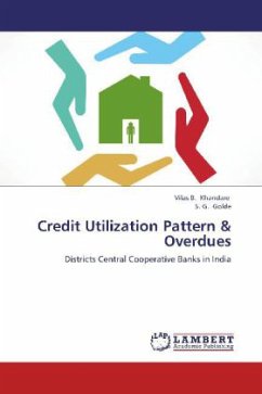 Credit Utilization Pattern & Overdues