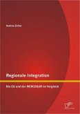 Regionale Integration: Die EU und der MERCOSUR im Vergleich