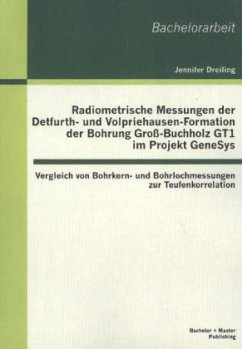 Radiometrische Messungen der Detfurth- und Volpriehausen-Formation der Bohrung Groß-Buchholz GT1 im Projekt GeneSys: Vergleich von Bohrkern- und Bohrlochmessungen zur Teufenkorrelation - Dreiling, Jennifer