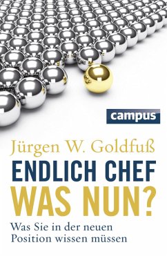 Endlich Chef - was nun? (eBook, PDF) - Goldfuß, Jürgen W.