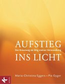 Aufstieg ins Licht (eBook, ePUB)