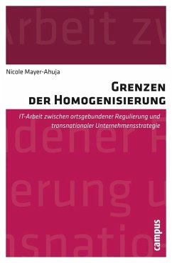 Grenzen der Homogenisierung (eBook, PDF) - Mayer-Ahuja, Nicole