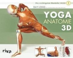 Yoga-Anatomie 3D (eBook, PDF) - Long, Ray; Macivor, Chris