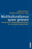 Multikulturalismus queer gelesen (eBook, PDF)