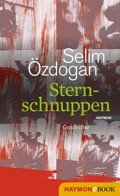 Sternschnuppen (eBook, ePUB) - Özdogan, Selim