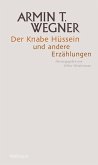 Der Knabe Hüssein und andere Erzählungen (eBook, ePUB)