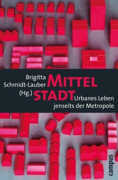 Mittelstadt (eBook, PDF)