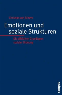 Emotionen und soziale Strukturen (eBook, PDF) - Scheve, Christian Von