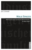 Male Spaces (eBook, PDF)