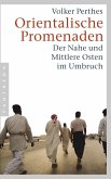 Orientalische Promenaden (eBook, ePUB)