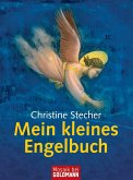 Mein kleines Engelbuch (eBook, ePUB)