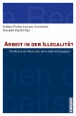 Arbeit in der Illegalität (eBook, PDF)