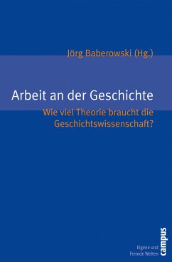 Arbeit an der Geschichte (eBook, PDF)