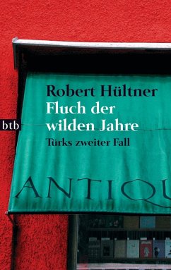 Fluch der wilden Jahre (eBook, ePUB) - Hültner, Robert