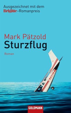 Cover Sturzflug (eBook, ePUB)