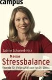 Meine Stressbalance (eBook, ePUB)