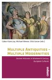 Multiple Antiquities - Multiple Modernities (eBook, PDF)