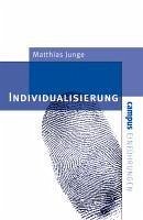 Individualisierung (eBook, PDF) - Junge, Matthias