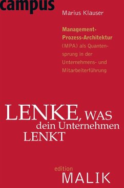 Lenke, was dein Unternehmen lenkt (eBook, PDF) - Klauser, Marius