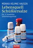 Lebensquell Schüßlersalze (eBook, ePUB)