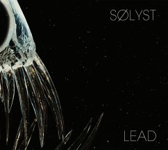 Lead - Solyst