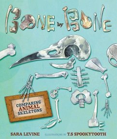 Bone by Bone - Levine, Sara