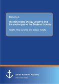 The Renewable Energy Directive and the challenges for the Biodiesel Industry: Insigths into a dynamic and opaque industry