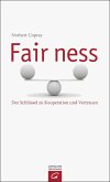 Fairness (eBook, ePUB)