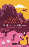 Briefe an einen Blinden / Dr. Siri Bd.4 (eBook, ePUB)