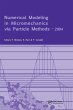 Numerical Modeling in Micromechanics... - Bild 1
