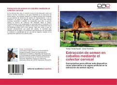 Extracción de semen en caballos mediante el colector cervical - Conde Ayuda, Tomas;Fondevila, Javier