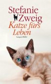 Katze fürs Leben