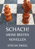 Schach! - Meine besten Novellen (eBook, ePUB)