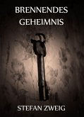 Brennendes Geheimnis (eBook, ePUB) Brennendes Geheimnis (eBook, ePUB)