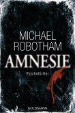 Amnesie / Joe O'Loughlin & Vincent Ruiz Bd.2 (eBook, ePUB)