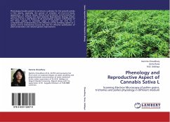 Phenology and Reproductive Aspect of Cannabis Sativa L - Choudhary, Namrta;Rana, Anita;Siddiqui, M. B.