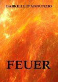Feuer (eBook, ePUB)